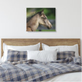 Toile Capture d'écran du poulain du cheval de quart (Insitu(Chambre))