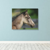 Toile Capture d'écran du poulain du cheval de quart (Insitu (Plancher de Bois))