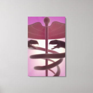 Toile Capture médicale 3d