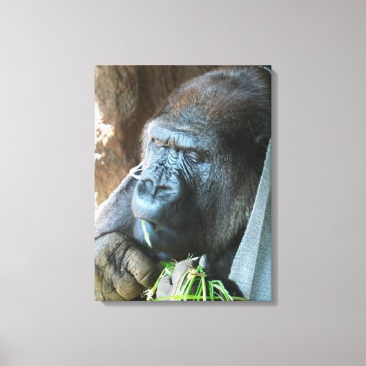 Toile Capuchon de singe ~ Gorille japonais mangeant (Recto)