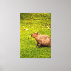 Toile Capybara