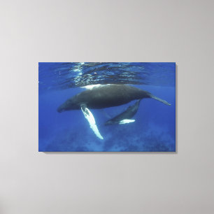 Toile Caraïbes, archipel des Grandes Antilles,