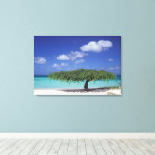 Toile Caraïbes, Aruba. Plage Eagle (Insitu (Plancher de Bois))