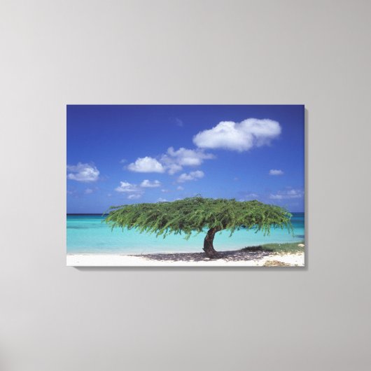 Toile Caraïbes, Aruba. Plage Eagle (Recto)