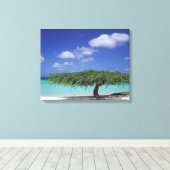 Toile Caraïbes, Aruba. Plage Eagle (Insitu (Plancher de Bois))
