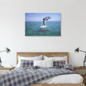 Toile Caraïbes, Grand dauphin (Insitu(Chambre))