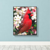 Toile Cardinal (Insitu (Plancher de Bois))