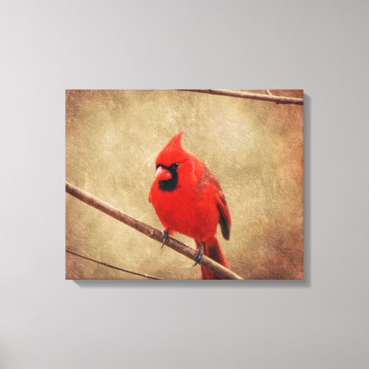 Toile Cardinal (Recto)