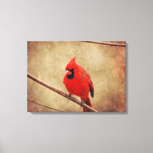 Toile Cardinal (Recto)