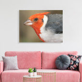 Toile Cardinal à crête rouge (Insitu(Salon))