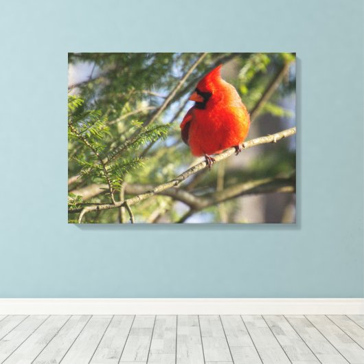 Toile Cardinal aux Pins (Insitu (Plancher de Bois))