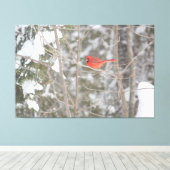 Toile Cardinal Bright (Insitu (Plancher de Bois))