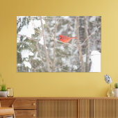 Toile Cardinal Bright (Insitu(Salon))