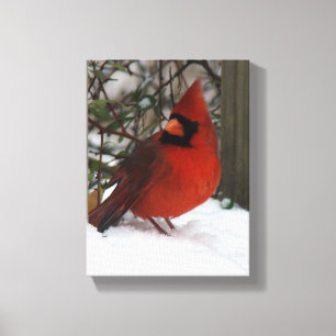 Toile Cardinal de Milou