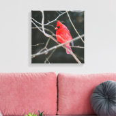 Toile Cardinal du Nord (Insitu(Salon))