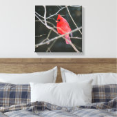 Toile Cardinal du Nord (Insitu(Chambre))