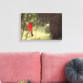 Toile Cardinal du Nord (Insitu(Salon))