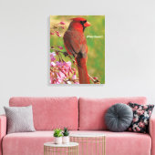 Toile Cardinal du Nord (Insitu(Salon))