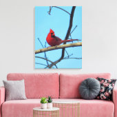 Toile Cardinal du Nord avec ciel d'été (Insitu(Salon))