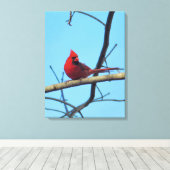 Toile Cardinal du Nord avec ciel d'été (Insitu (Plancher de Bois))