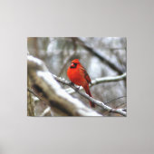 Toile Cardinal masculin (Recto)