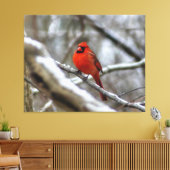 Toile Cardinal masculin (Insitu(Salon))