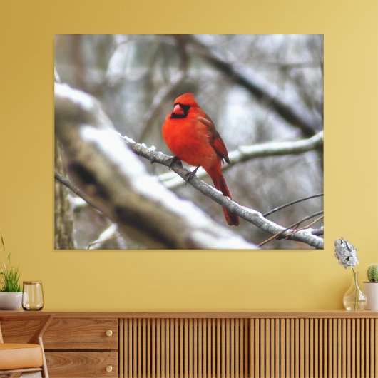 Toile Cardinal masculin (Insitu(Salon))