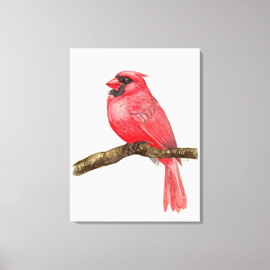 Toile Cardinal oiseau aquarelle (Recto)