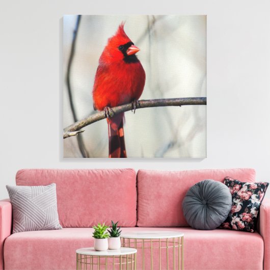 Toile Cardinal Perch (Insitu(Salon))