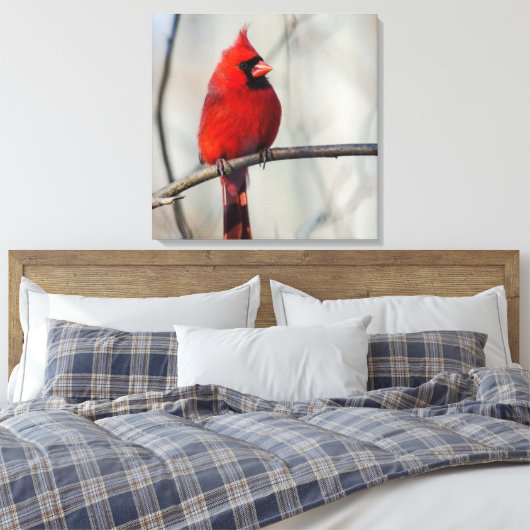 Toile Cardinal Perch (Insitu(Chambre))
