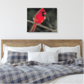 Toile Cardinal rouge perché sur une branche d'arbre (Insitu(Chambre))