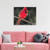 Toile Cardinal rouge perché sur une branche d'arbre (Insitu(Salon))