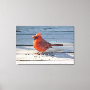 Toile Cardinal rouge sur le pont en bois