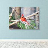 Toile Cardinal Spring Woods (Insitu (Plancher de Bois))