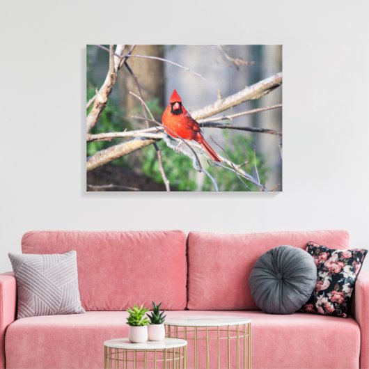 Toile Cardinal Spring Woods (Insitu(Salon))