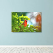 Toile Cardinal Sur Une Branche À feuillage persistant (Insitu (Plancher de Bois))