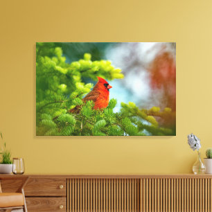Toile Cardinal Sur Une Branche À feuillage persistant