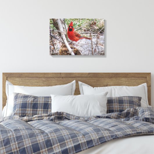 Toile Cardinal vibrant (Insitu(Chambre))