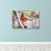 Toile Cardinal vibrant (Insitu (Plancher de Bois))