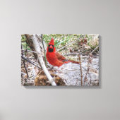 Toile Cardinal vibrant (Recto)