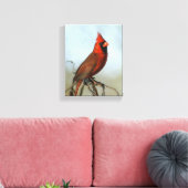 Toile cardinale rouge du Nord (Insitu(Salon))