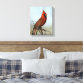 Toile cardinale rouge du Nord (Insitu(Chambre))