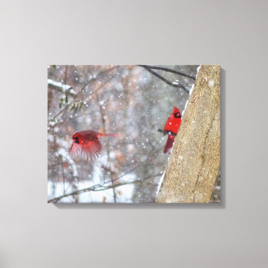Toile Cardinaux dans la neige (Recto)