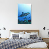 Toile Caribbean Reef Shark (Insitu(Chambre))