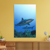 Toile Caribbean Reef Shark (Insitu(Salon))