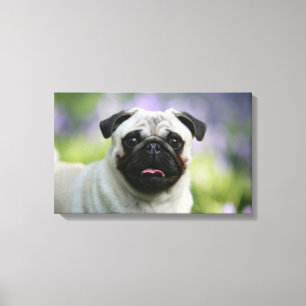 Toile Carlin Feu en alerte