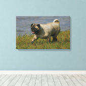 Toile Carlin Jouer près de l'eau (Insitu (Plancher de Bois))