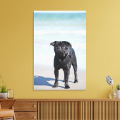 Toile Carlin Noir Sur La Plage (Insitu(Salon))