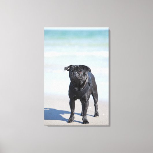 Toile Carlin Noir Sur La Plage (Recto)