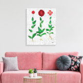 Toile Carnation italienne 2 (Insitu(Salon))